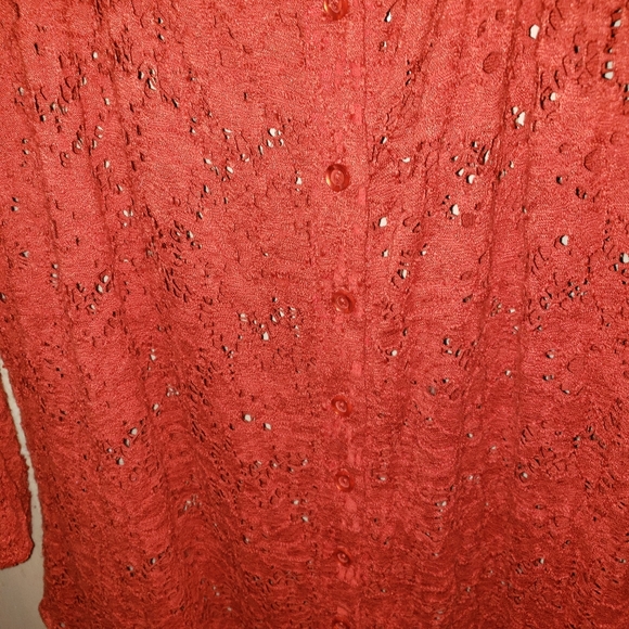 Plus sz 1X Fenn Wright Manson lace Shirt Beautiful - Picture 4 of 4